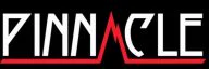 Pinnacle Boxing logo
